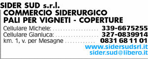 Visualizza Inserzione
