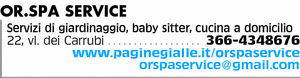 Visualizza Inserzione