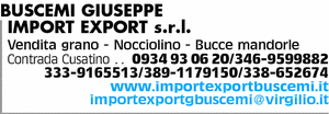 Visualizza Inserzione