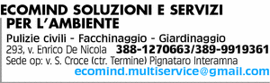 Visualizza Inserzione