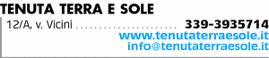 Visualizza Inserzione