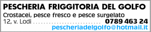 Visualizza Inserzione