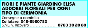Visualizza Inserzione