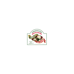 logo-ph