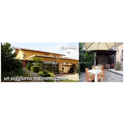 img-dx