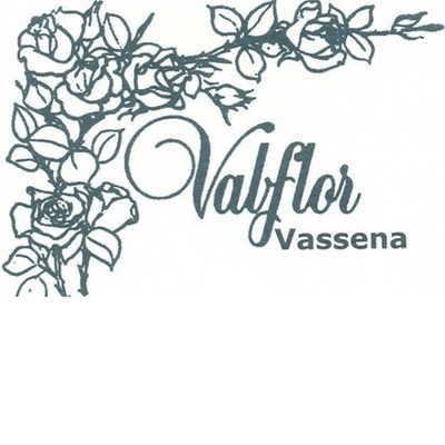 logo-ph