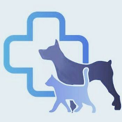 logo-ph