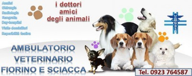 img-dx