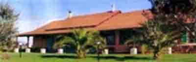 img-dx