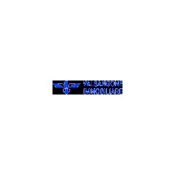 logo-ph