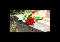 img-dx