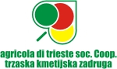 img-dx
