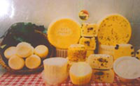 img-dx