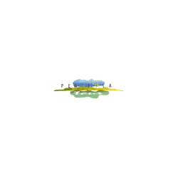 logo-ph