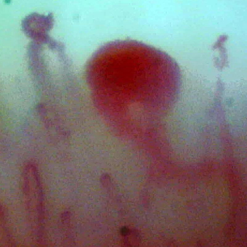 img-dx