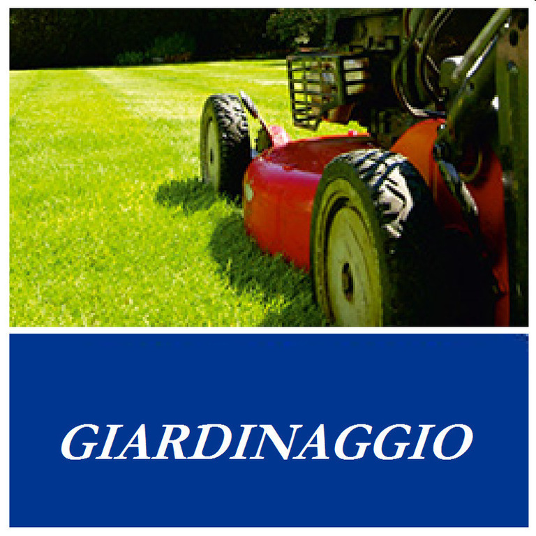 img-dx