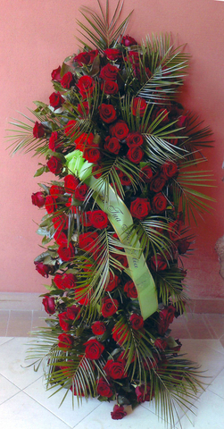 img-dx