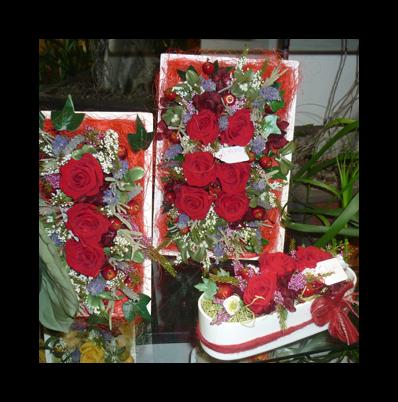img-dx