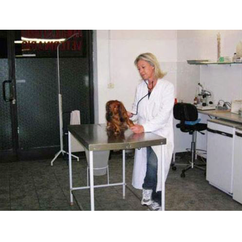 img-dx
