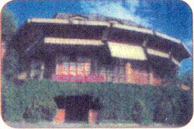img-dx