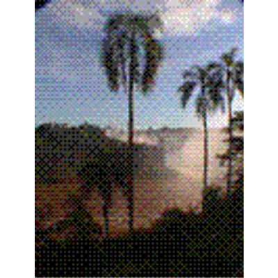 img-dx