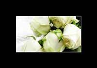 img-dx