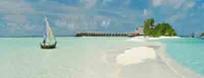 img-dx