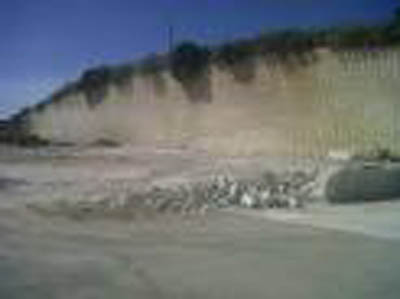img-dx