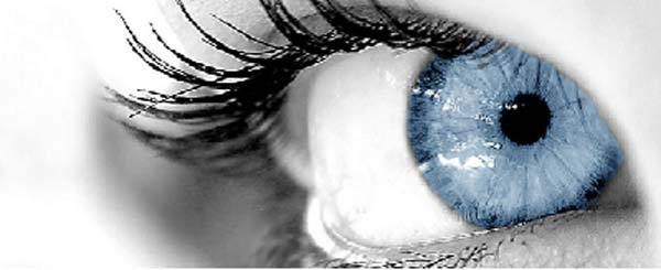 img-dx