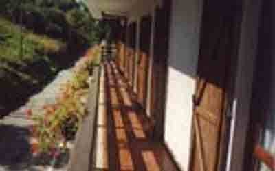 img-dx