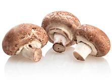 Funghi
